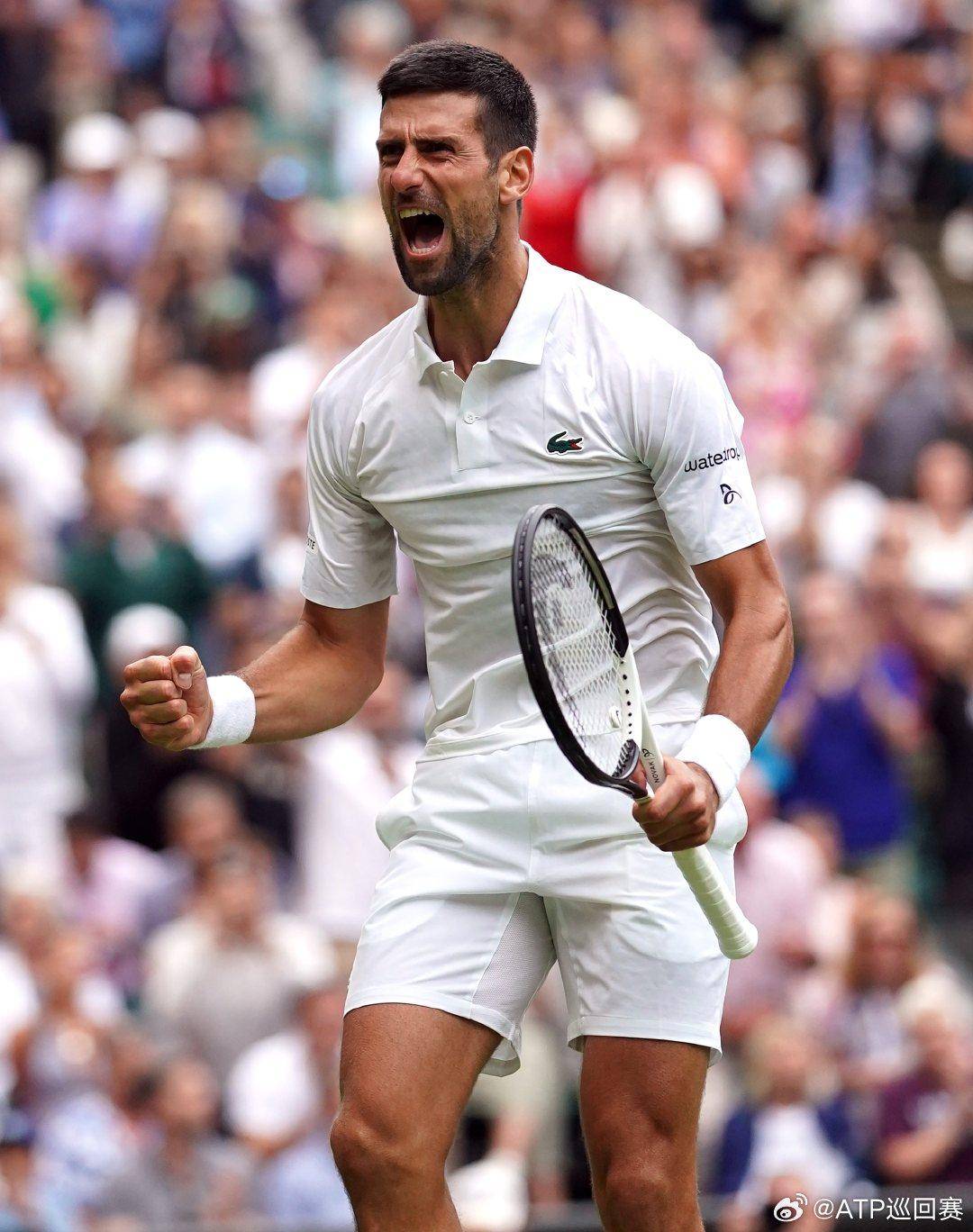 直是意甲的 直是意甲的