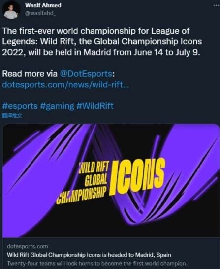 赛观赏性的 赛观赏性的